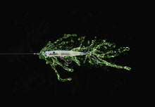 Load image into Gallery viewer, SPIN JOHN 80