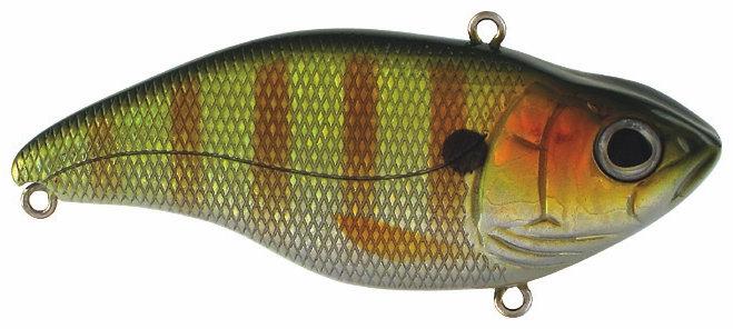 ARUKU SHAD 60 PERCH