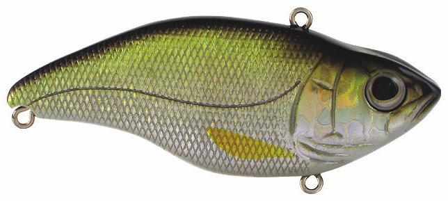 ARUKU SHAD 65