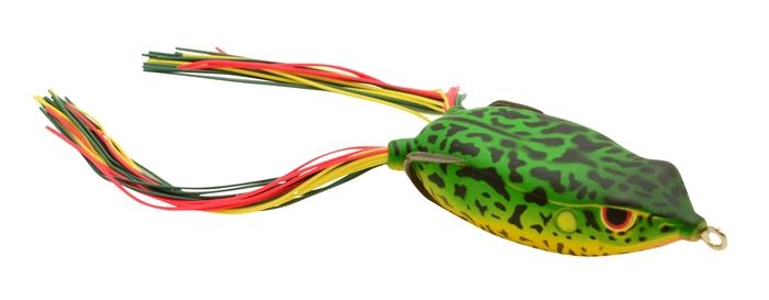 BRONZEYE FROG 65 AMAZON
