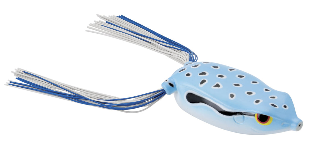 BRONZEYE FROG 65 BLUE SKY