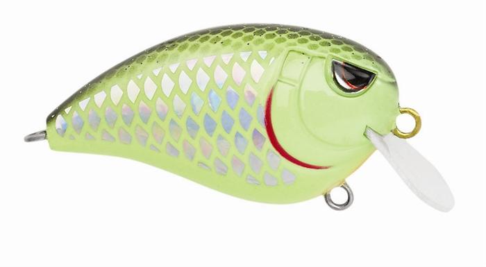 FAT JOHN 50 CHARTREUSE BLACK LIGHTNING