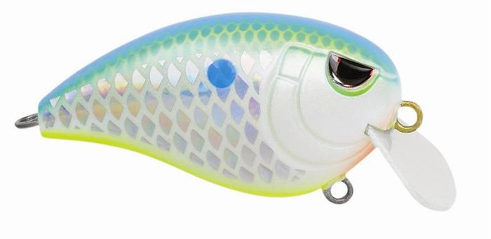 FAT JOHN 50 CITRUS SHAD