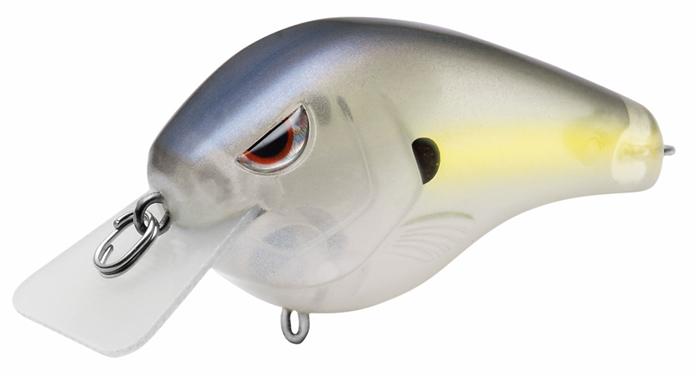 FAT PAPA SB 55 CLEAR CHART