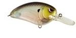 LITTLE JOHN MD SPOOKY SHAD