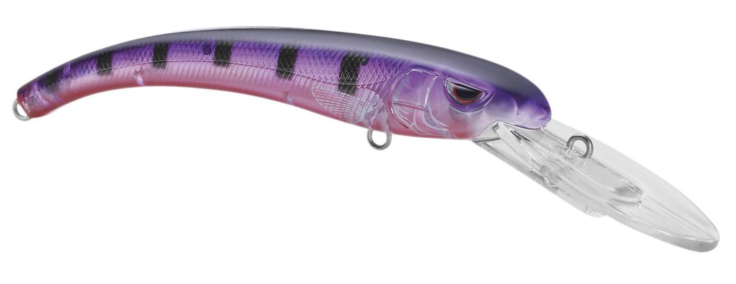 MADEYE DIVER 85 GHOST PURPLE PERCH
