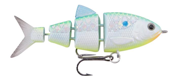 SB25 BBZ1 FAST SINK CITRUS SHAD